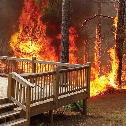 Wildfire near a wood deck Wildfire near a wood deck